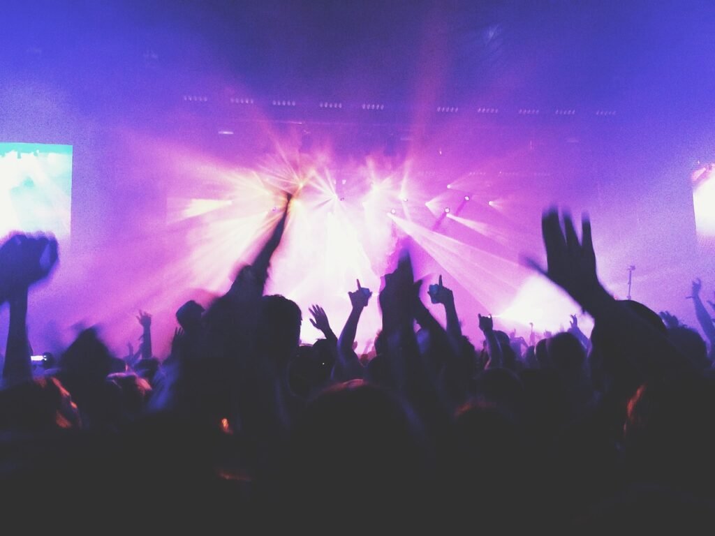 concert, music, crowd